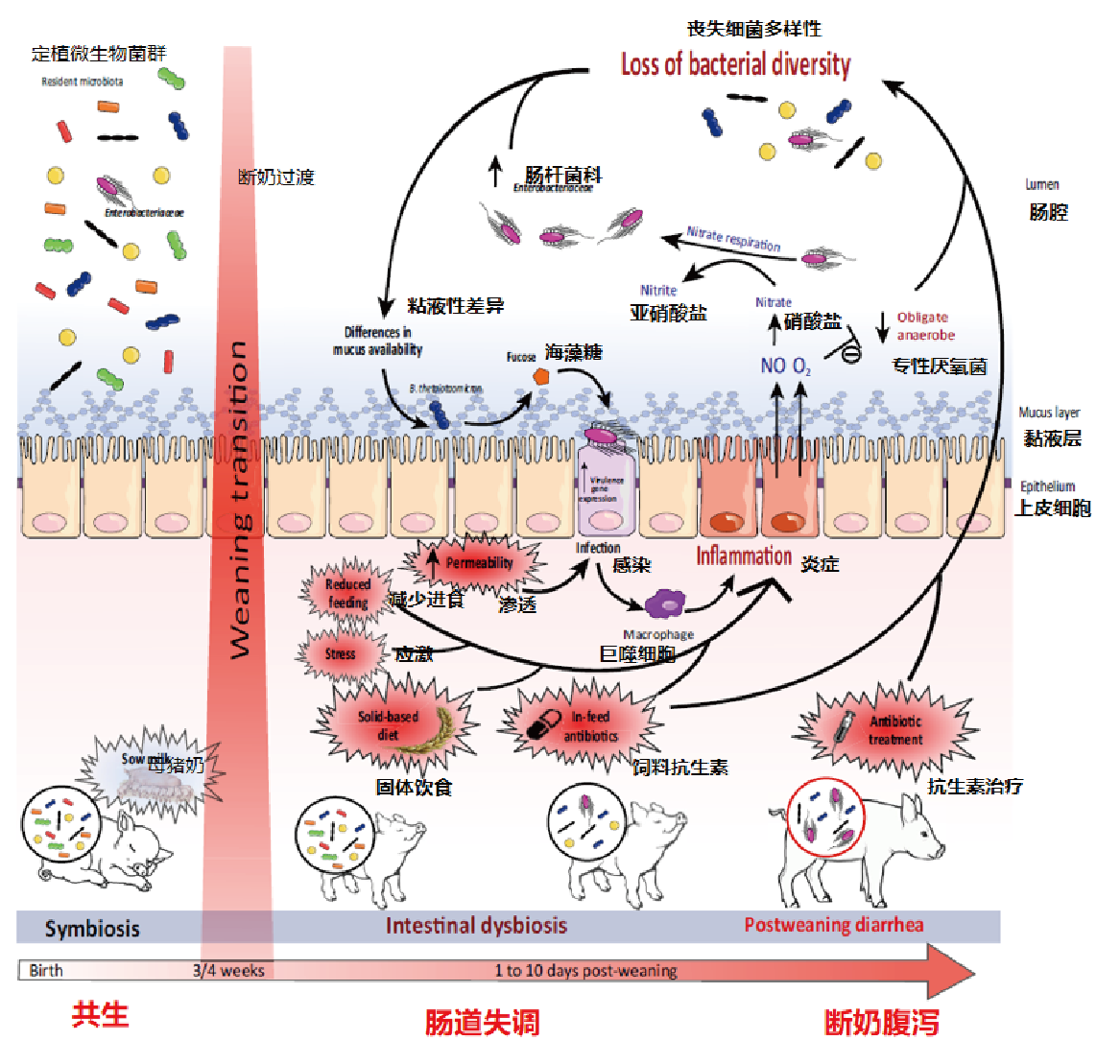 2025111801.png (433 KB)