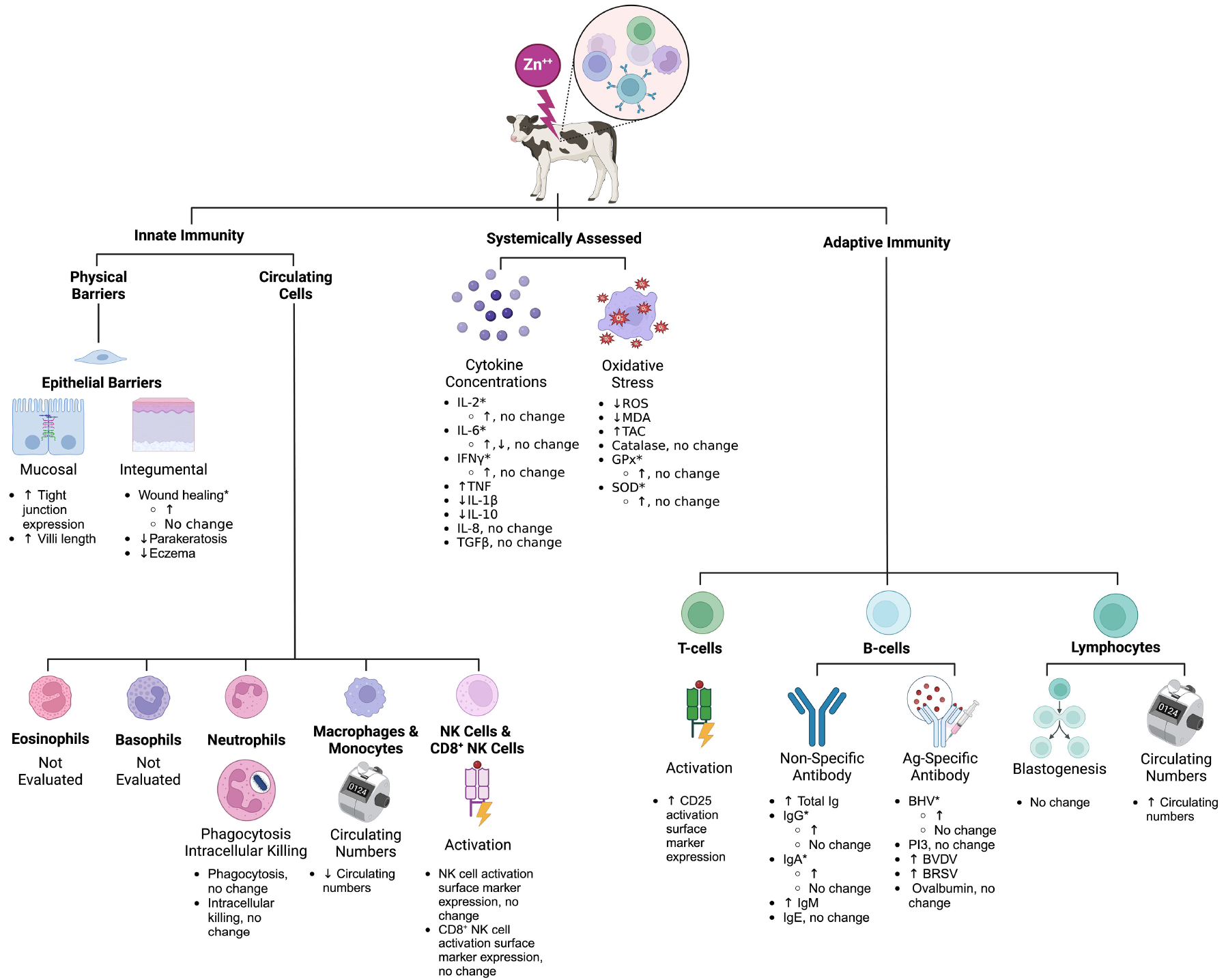 2025112501.png (602 KB)