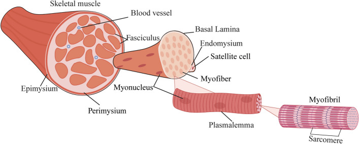 2025120203.png (171 KB)