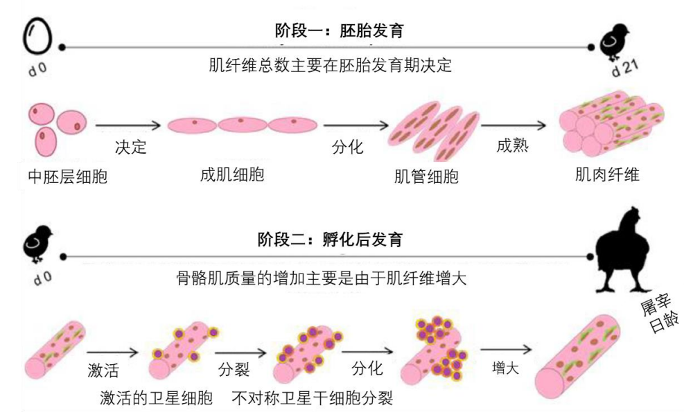 2025120204.png (294 KB)