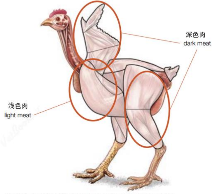 2025120205.png (305 KB)