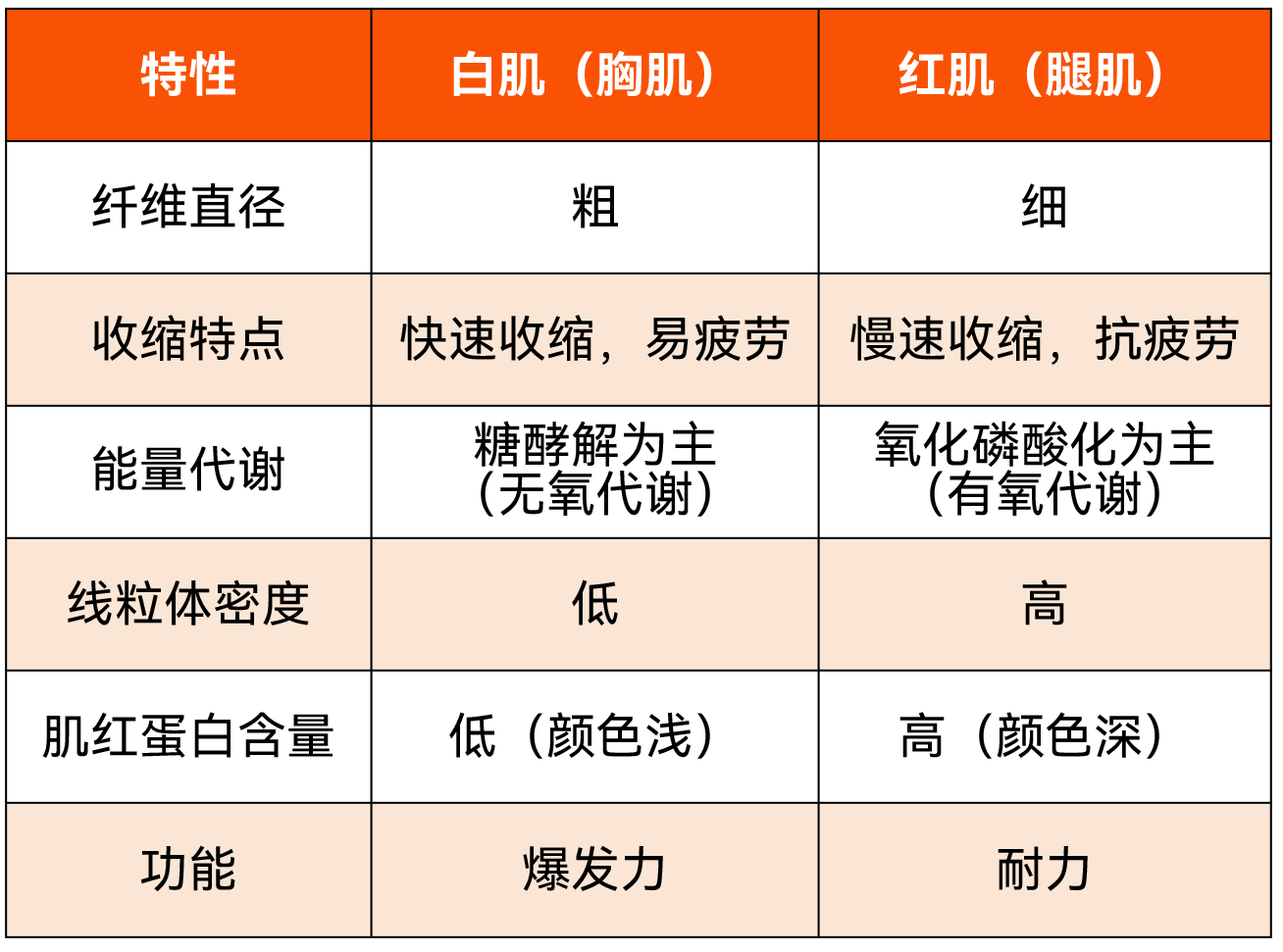 2025120206.png (68 KB)