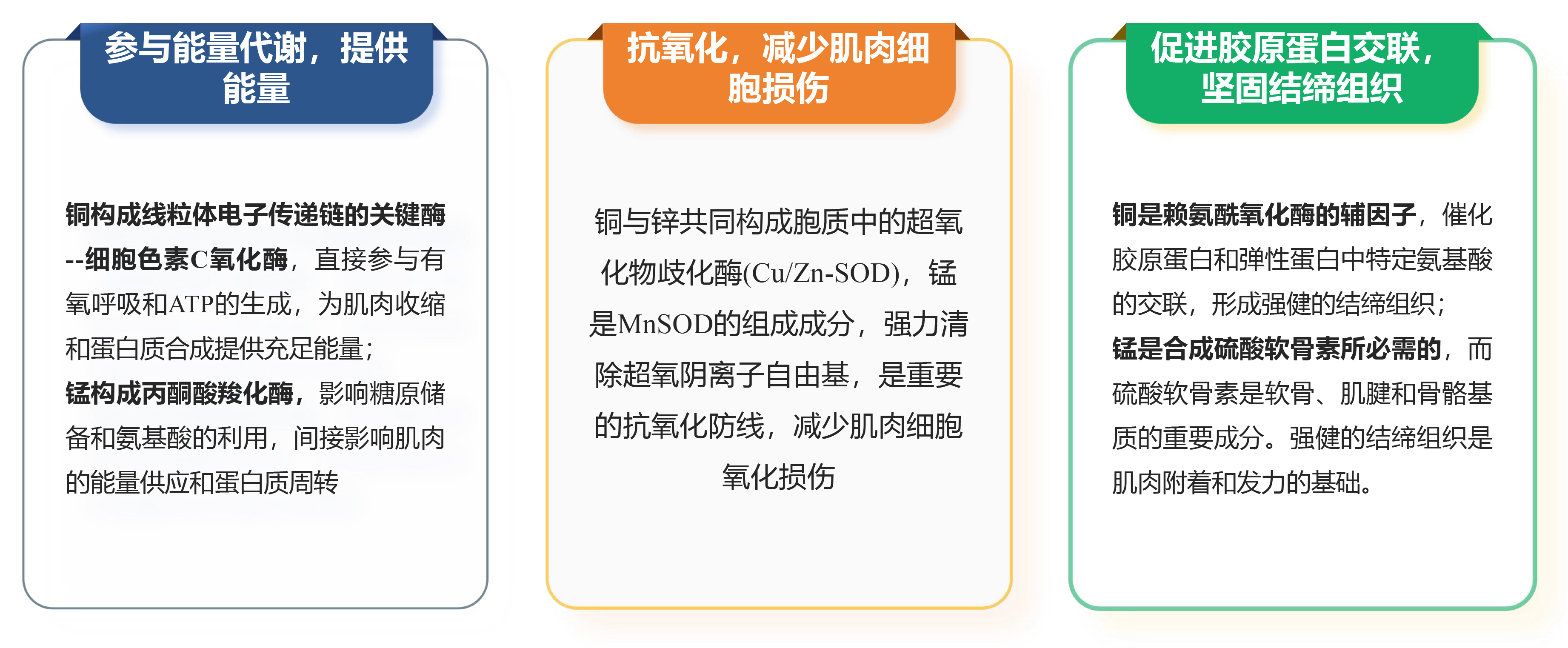 2025120208.png (488 KB)