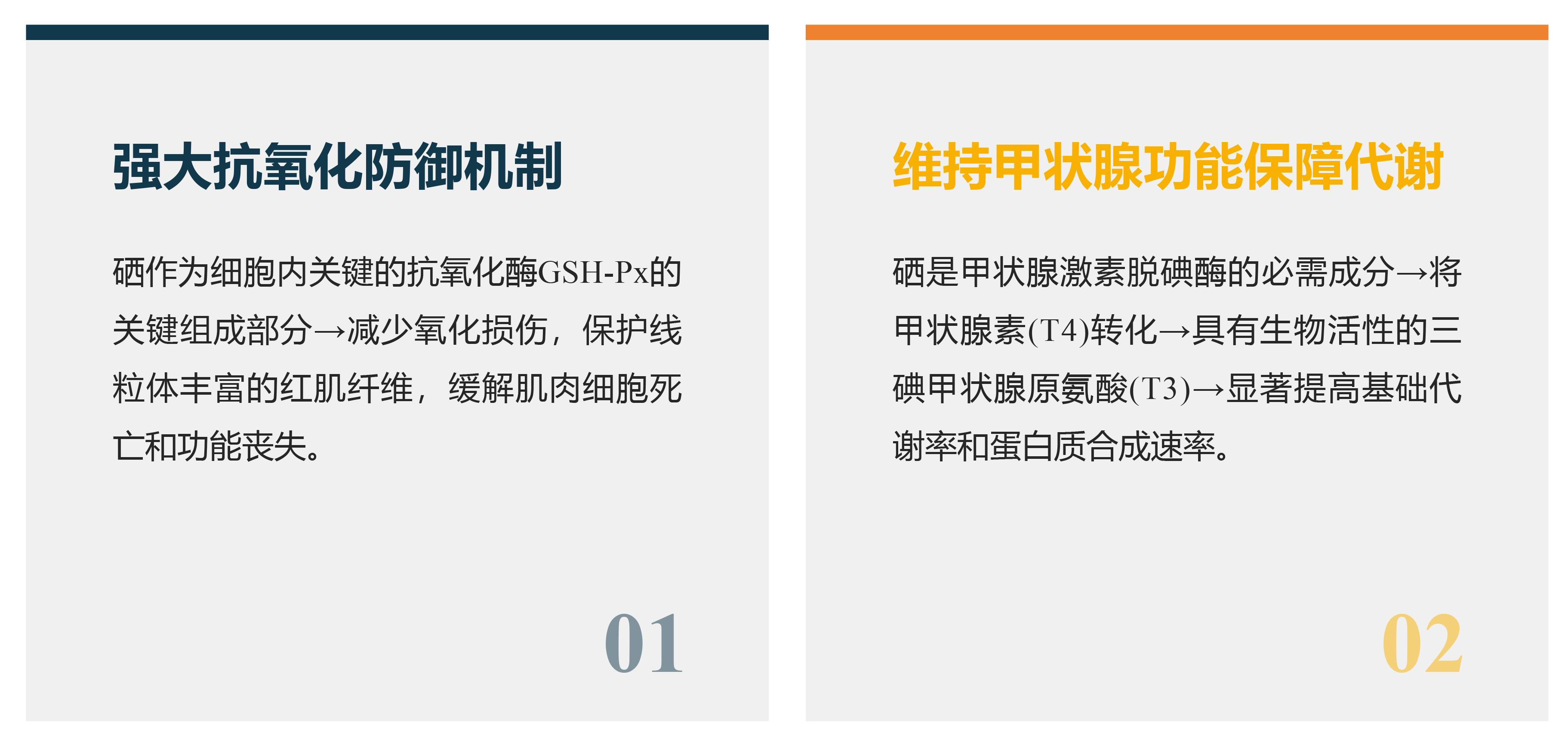 2025120209.png (206 KB)