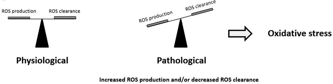 2025121606.png (1.30 MB)