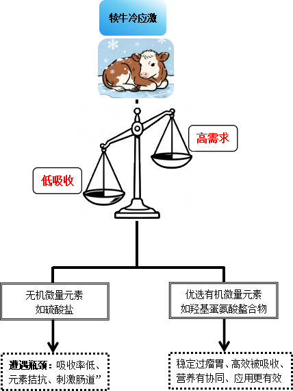 2025121607.png (61 KB)