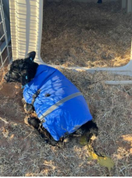 2025121608.png (112 KB)