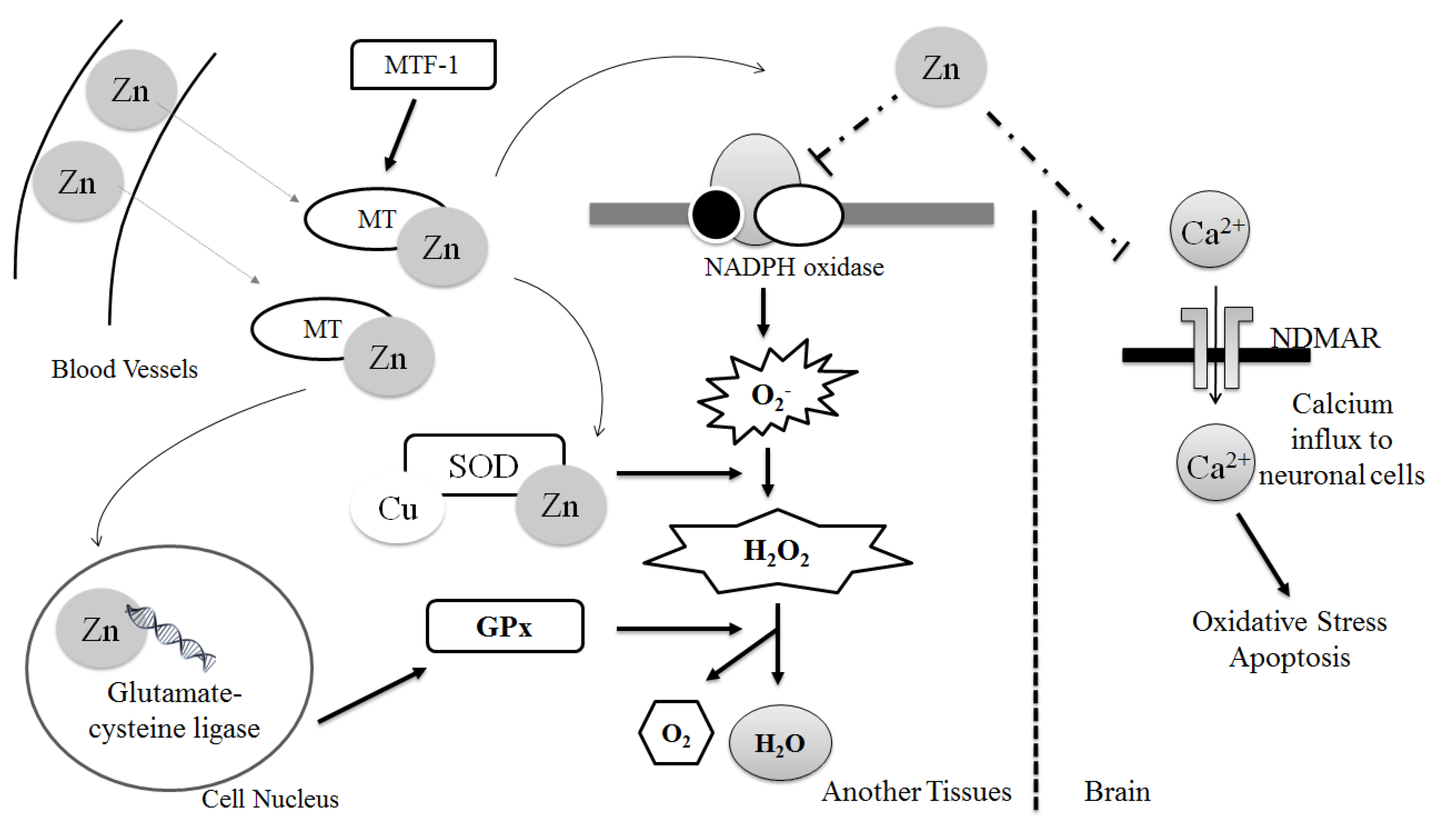 20251216083500_120_331.png (582 KB)