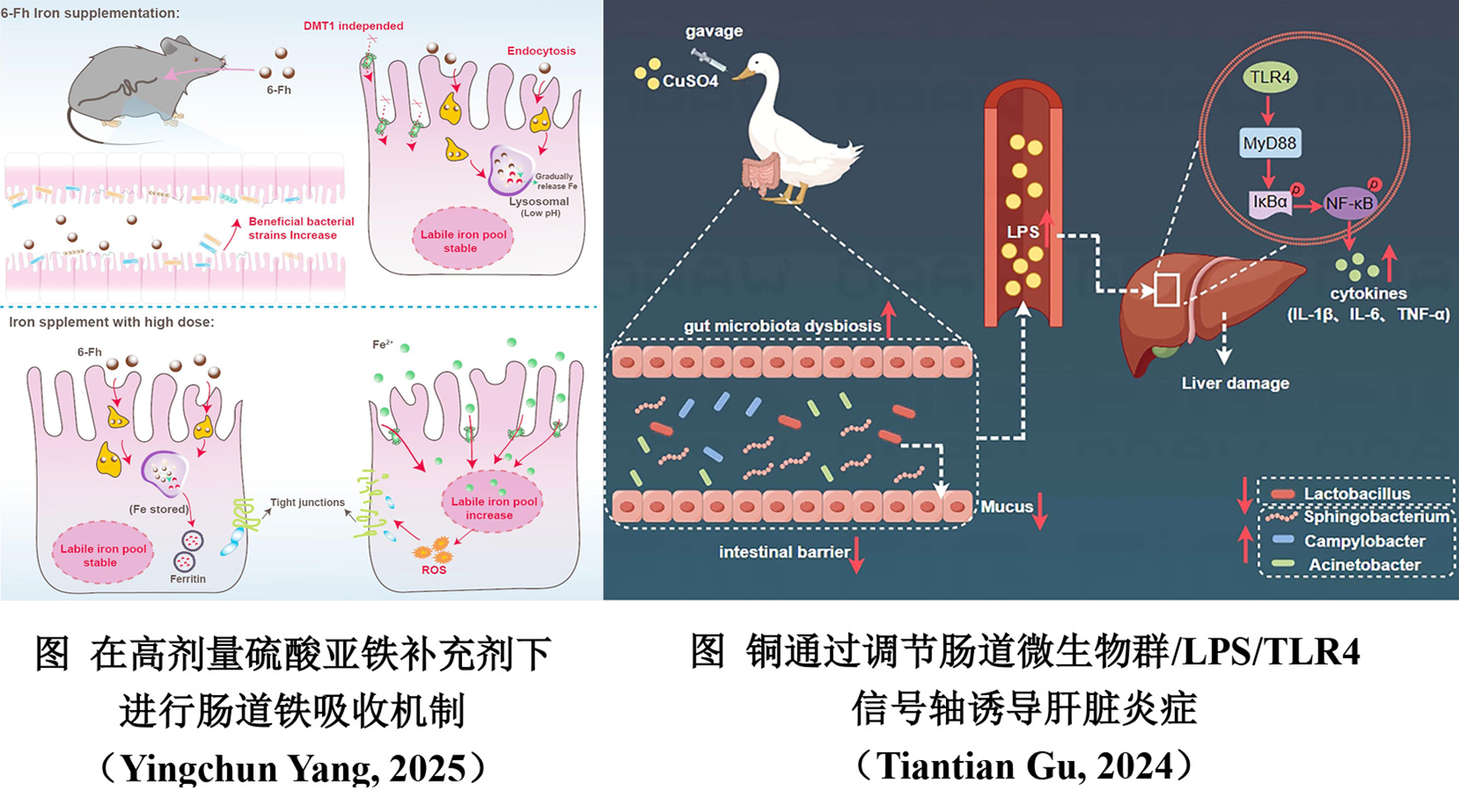 2025123001.png (1.06 MB)