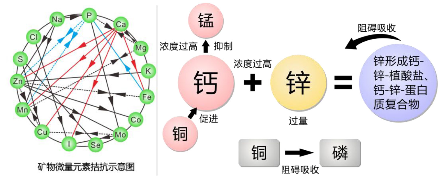 2025123002.jpg (176 KB)