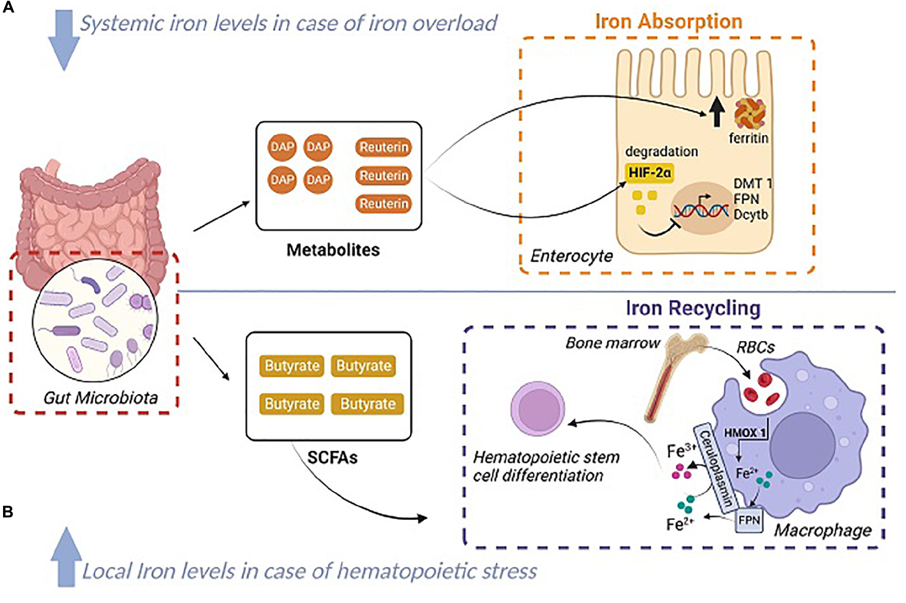 2025123003.png (1.47 MB)