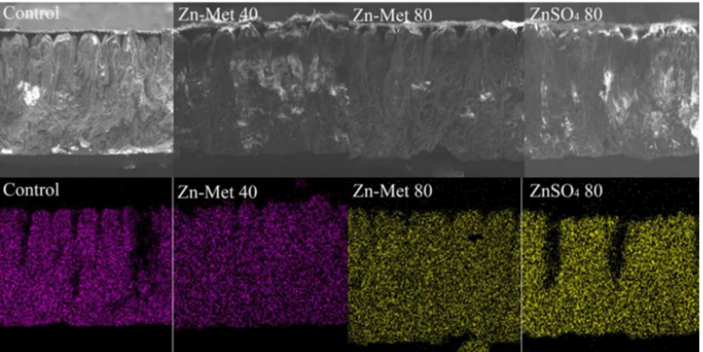 2025123006.png (509 KB)