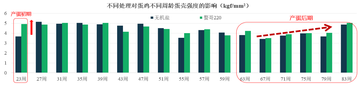 2025123010.png (52 KB)