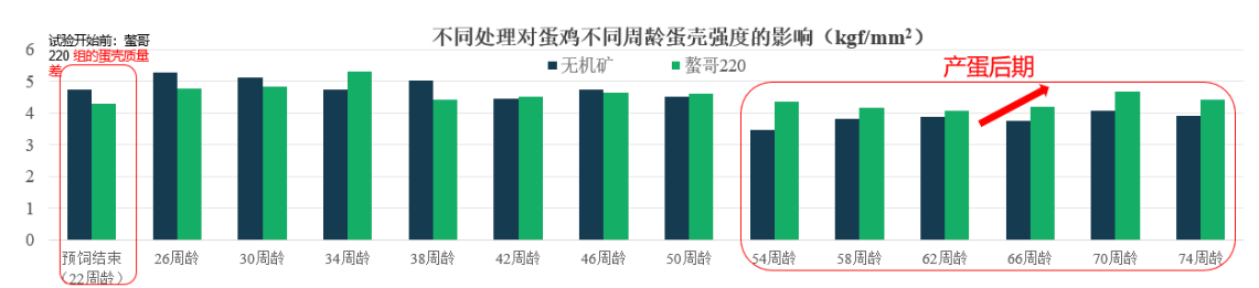 2025123011.png (46 KB)