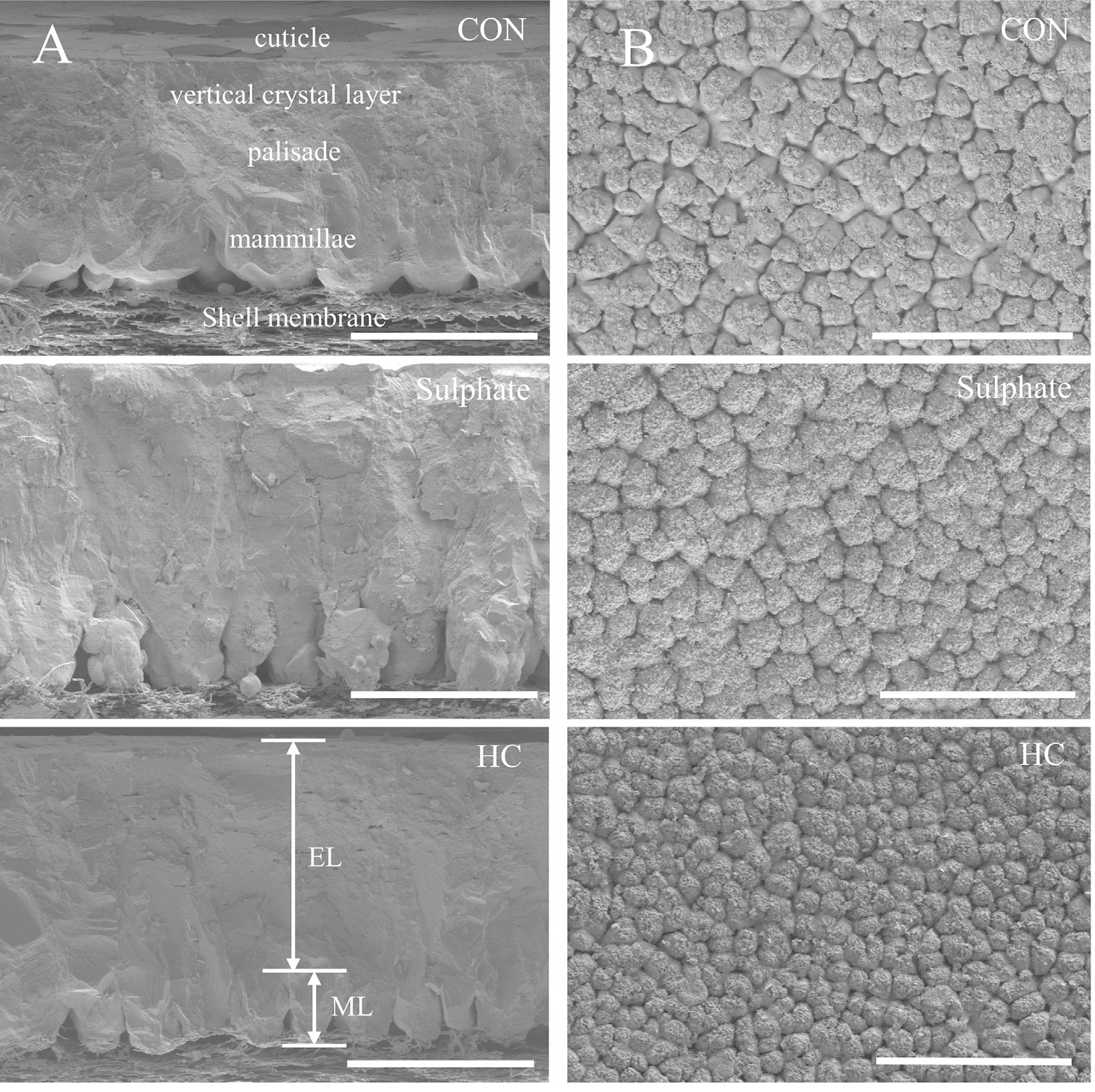 2025123012.png (2.69 MB)