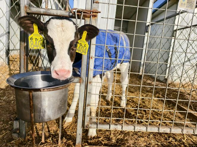 2026011301.png (669 KB)