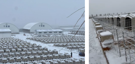 2026011309.png (157 KB)