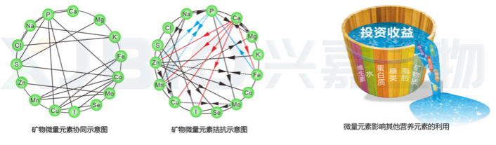 2026031703.png (572 KB)