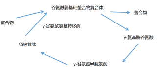 2026052802.png (16 KB)