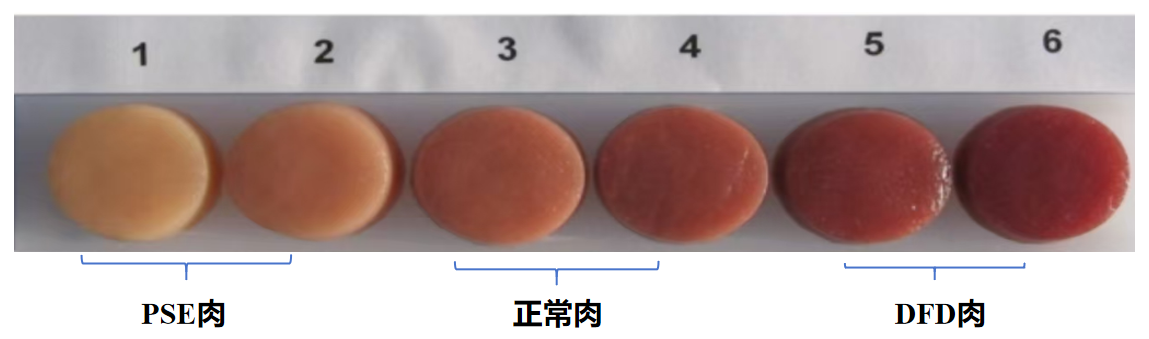 2026060901.png (197 KB)