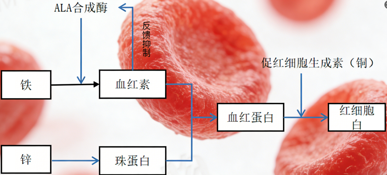 2026060903.png (802 KB)