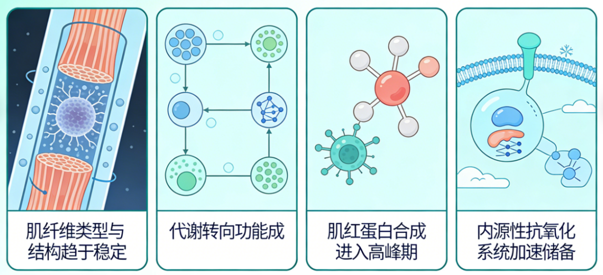 2026060906.png (712 KB)