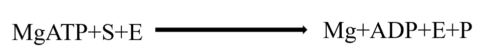 2026062502.png (5 KB)