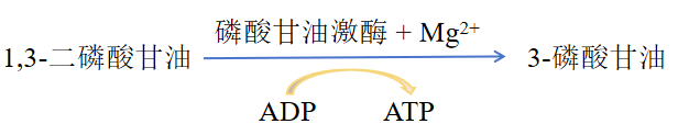 2026062504.png (11 KB)
