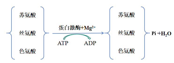 2026062505.png (779 KB)