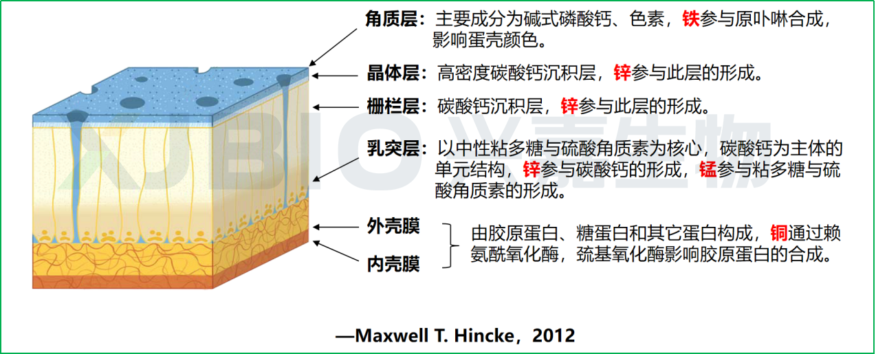 2026070902.png (421 KB)