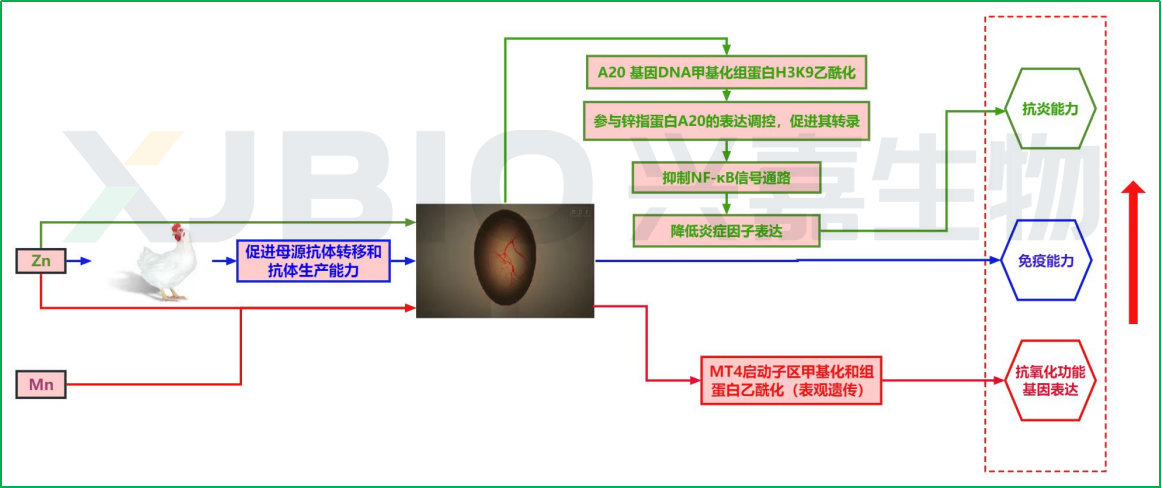 2026070905.png (228 KB)