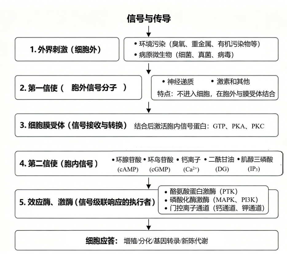 2026072402.png (621 KB)