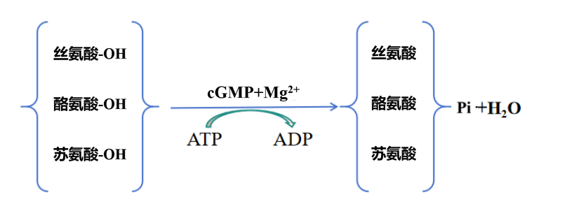 2026072404.png (42 KB)