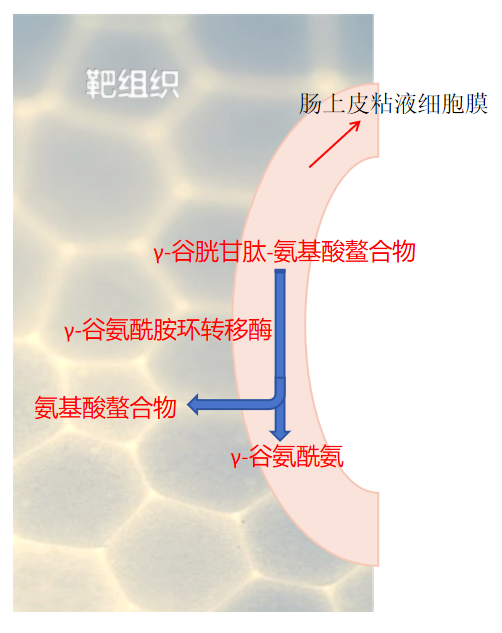 2026073001.png (234 KB)