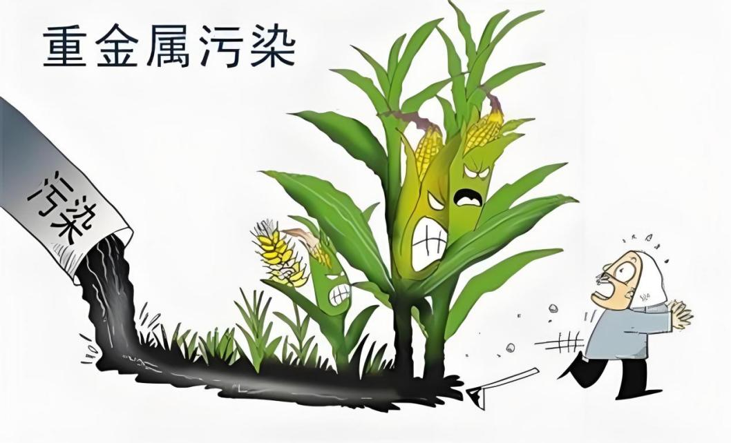 2026081402.png (512 KB)