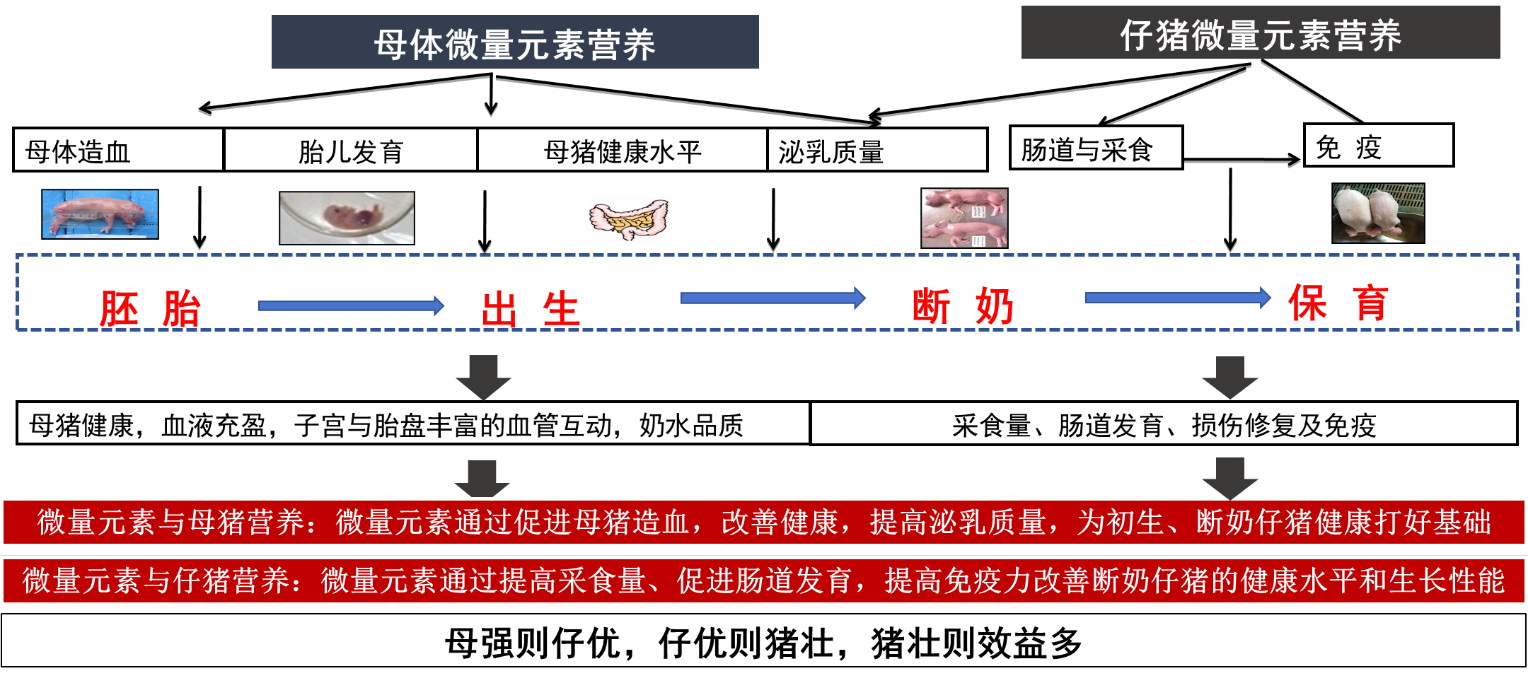 2026081801.png (256 KB)