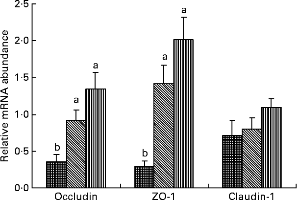 2026082101.png (24 KB)