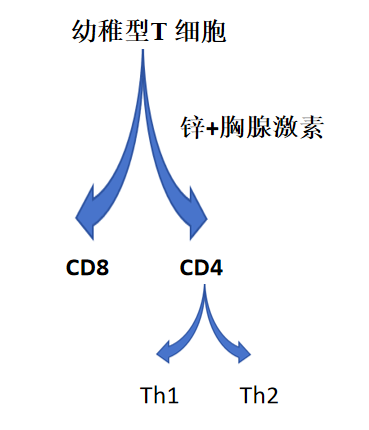 2026101503.png (26 KB)