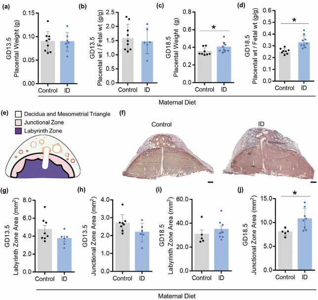 202612703.png (224 KB)