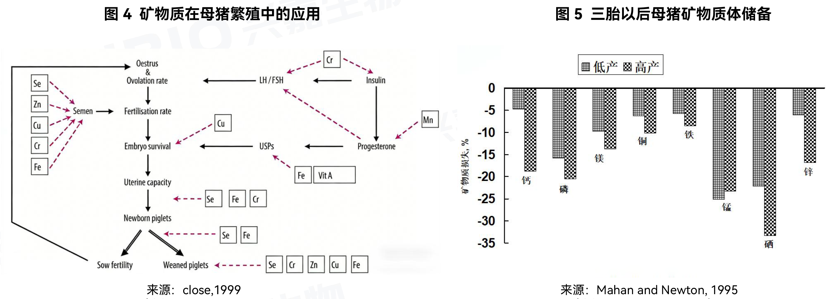 202612705.png (794 KB)