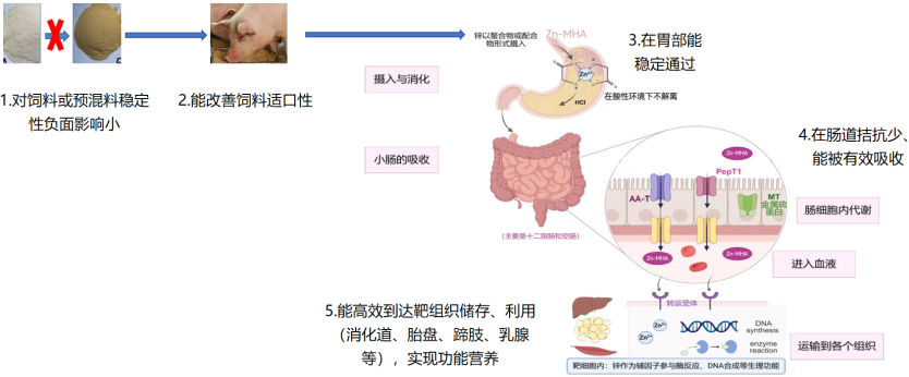 202612706.png (132 KB)