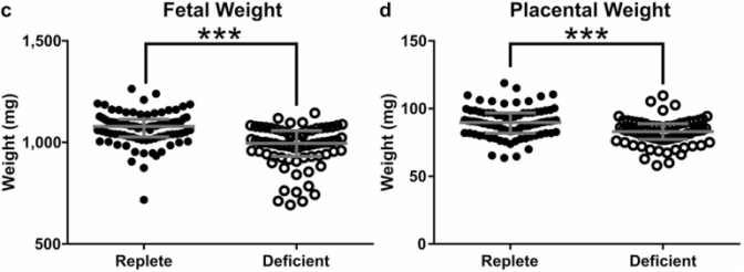 202612708.png (75 KB)