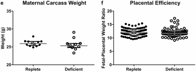 202612709.png (70 KB)