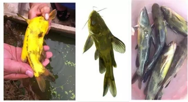 20261601.png (260 KB)