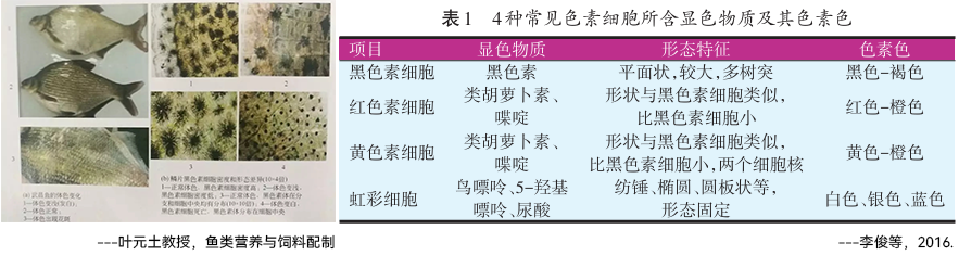 20261602.png (187 KB)