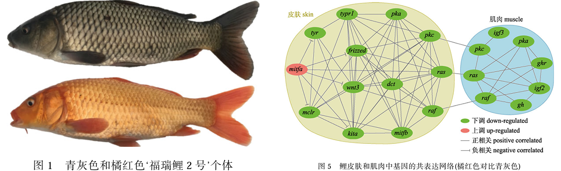 20261603.png (441 KB)