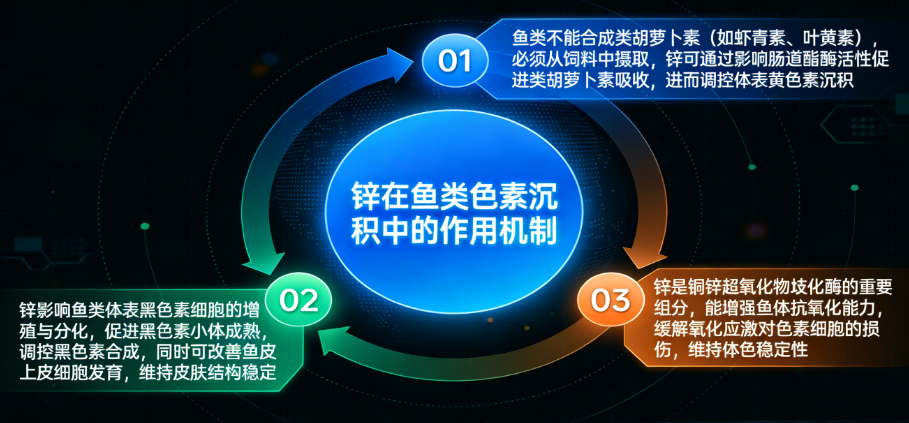 20261607.png (511 KB)