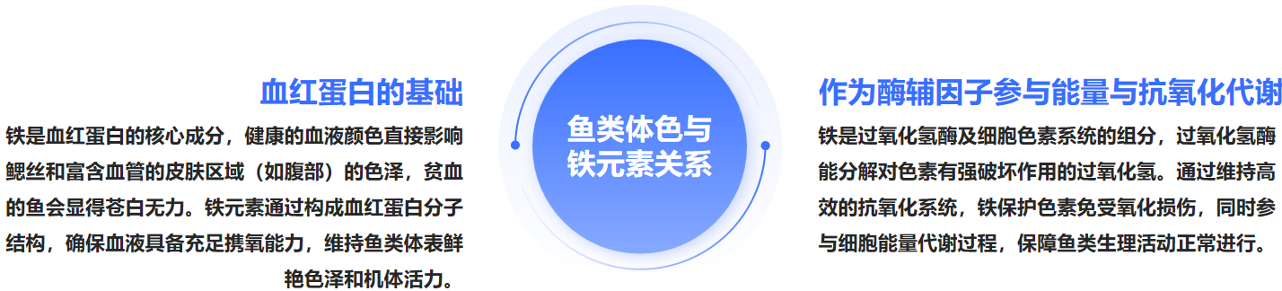 20261610.png (130 KB)