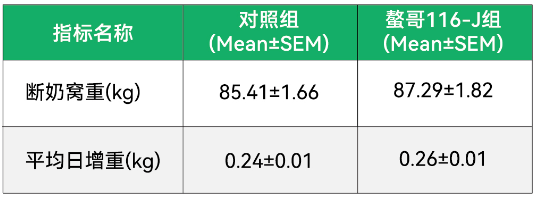 2028081804.png (41 KB)