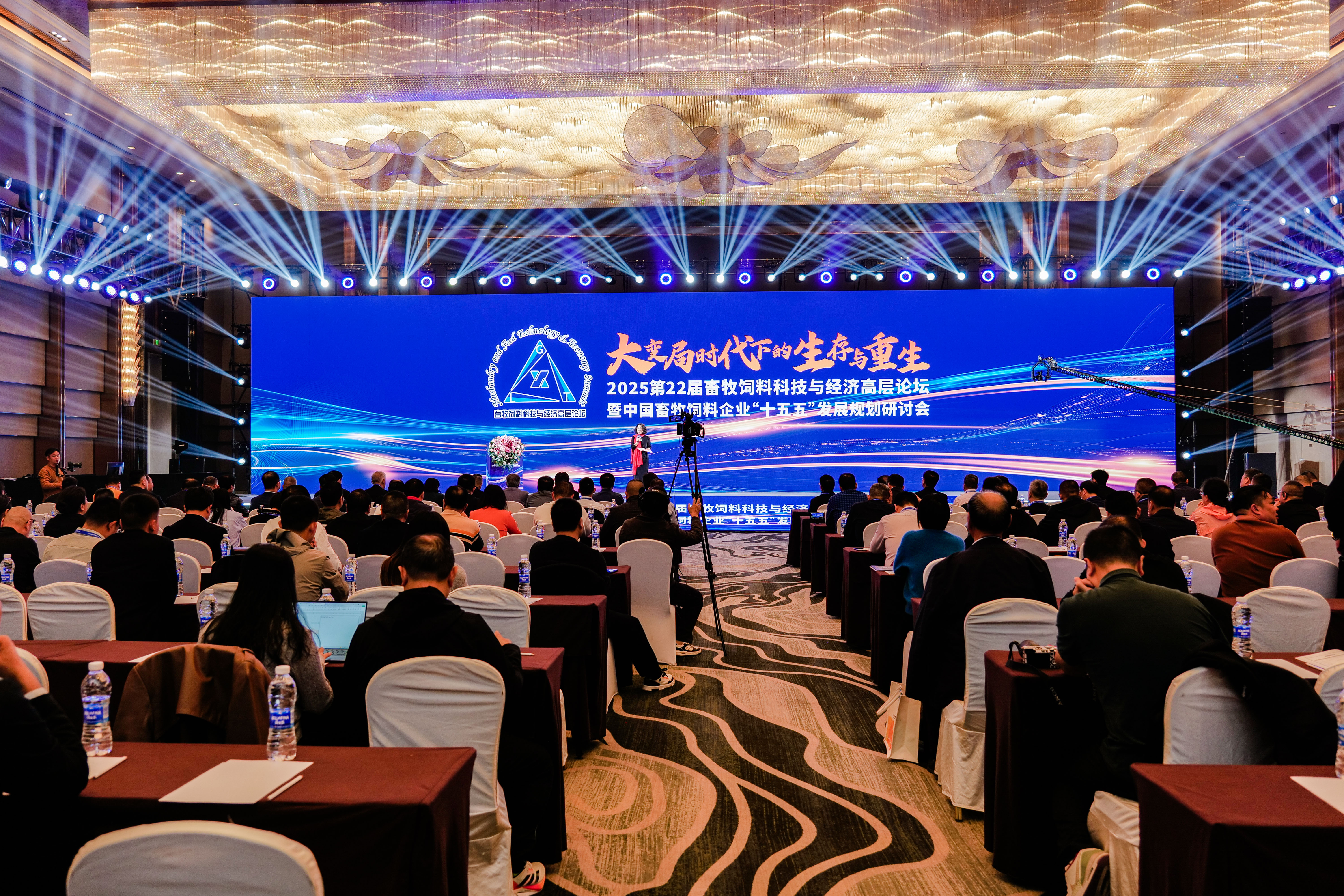 21751644.jpg (3.83 MB)